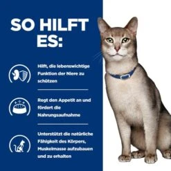 Hill's K/d - Kidney Care - Prescription Diet - Feline -Heimtierbedarf Angebote hills kd kidney care prescription diet feline 218182 0500 none