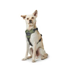 Hunter Geschirr Divo Dunkelblau/Grau -Heimtierbedarf Angebote hunter harnas divo donkerblauwgrijs 166891 0500 none