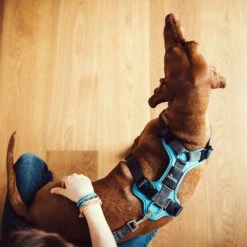 Hunter Geschirr Divo Dunkelblau/Grau -Heimtierbedarf Angebote hunter harnas divo donkerblauwgrijs 166903 0500 none