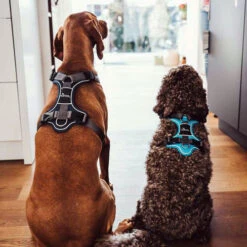 Hunter Geschirr Divo Dunkelblau/Grau -Heimtierbedarf Angebote hunter harnas divo donkerblauwgrijs 166906 0500 none