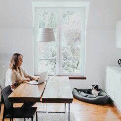 Hunter Eckkorb Livingstone - Grau 13 Hunter Eckkorb Livingstone - Grau -Heimtierbedarf Angebote hunter hoekmand livingstone grijs 175903 0500 none