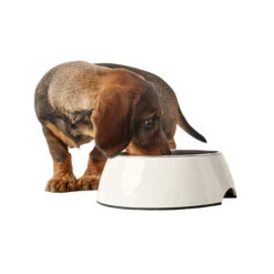 Hunter Melamin Napf - Weiß -Heimtierbedarf Angebote hunter melamine voer en drinkbak wit 169567 0500 none