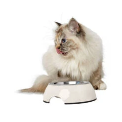 Hunter Melamin Napf - Weiß -Heimtierbedarf Angebote hunter melamine voer en drinkbak wit 169570 0500 none