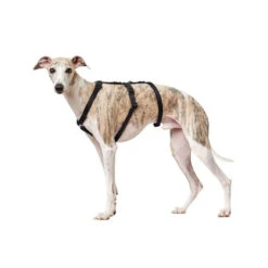 Hunter Vario Rapid Sicherheitsgeschirr - Schwarz 9 Hunter Vario Rapid Sicherheitsgeschirr - Schwarz -Heimtierbedarf Angebote hunter vario rapid veiligheidsharnas zwart 169501 0500 none