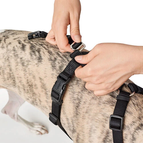 Hunter Vario Rapid Sicherheitsgeschirr - Schwarz 5 Hunter Vario Rapid Sicherheitsgeschirr - Schwarz - Image 5