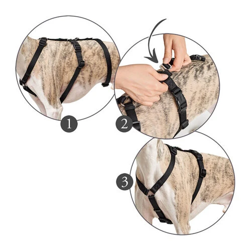 Hunter Vario Rapid Sicherheitsgeschirr - Schwarz 6 Hunter Vario Rapid Sicherheitsgeschirr - Schwarz - Image 6