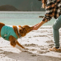 Hurtta Cooling Wrap - Hellblau -Heimtierbedarf Angebote hurtta cooling wrap lichtblauw 178456 0500 none