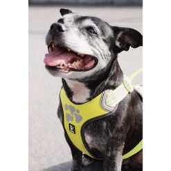 Hurtta Weekend Warrior Geschirr -Heimtierbedarf Angebote hurtta weekend warrior harness 189093 0500 none