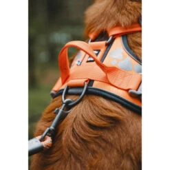 Hurtta Weekend Warrior Geschirr -Heimtierbedarf Angebote hurtta weekend warrior harness 189096 0500 none