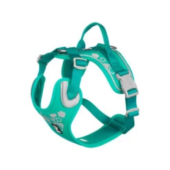 Hurtta Weekend Warrior Geschirr -Heimtierbedarf Angebote hurtta weekend warrior harness 203807 0500 none