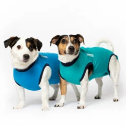 Jacketz Medical Body Suit Für Hunde -Heimtierbedarf Angebote jacketz medical body suit hond 209516 0500 none