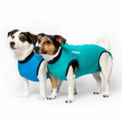 Jacketz Medical Body Suit Für Hunde -Heimtierbedarf Angebote jacketz medical body suit hond 209519 0500 none