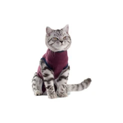 Jacketz Medical Body Suit Für Katzen -Heimtierbedarf Angebote jacketz medical body suit kat 154129 0500 none