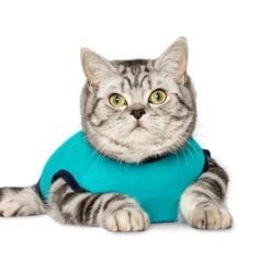 Jacketz Medical Body Suit Für Katzen -Heimtierbedarf Angebote jacketz medical body suit kat 209783 0500 none
