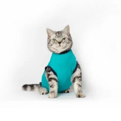 Jacketz Medical Body Suit Für Katzen -Heimtierbedarf Angebote jacketz medical body suit kat 209789 0500 none