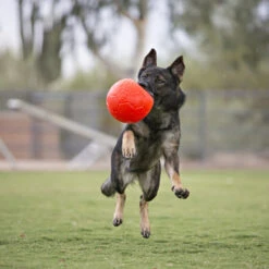 Jolly Soccer Ball 8 Jolly Soccer Ball -Heimtierbedarf Angebote jolly soccer ball 162241 0500 none