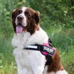 Julius K9 IDC Powergeschirr -Heimtierbedarf Angebote julius k9 idc powertuig 192695 0500 none