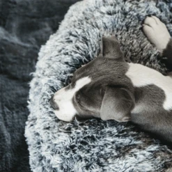 Kentucky Dogwear - Comfort Donut-Hundekorb -Heimtierbedarf Angebote kentucky dogwear comfort donut hondenmand 219723 0500 none