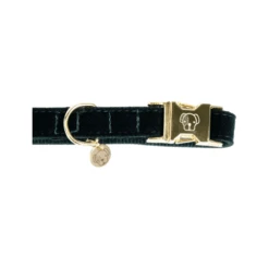 Kentucky Dogwear Corduroy Hundehalsband -Heimtierbedarf Angebote kentucky dogwear corduroy hondenhalsband 219195 0500 none