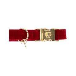 Kentucky Dogwear Corduroy Hundehalsband -Heimtierbedarf Angebote kentucky dogwear corduroy hondenhalsband 219199 0500 none