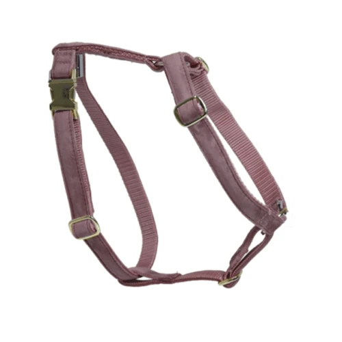 Kentucky Dogwear Hundegeschirr Velvet Loop 6 Kentucky Dogwear Hundegeschirr Velvet Loop - Image 6