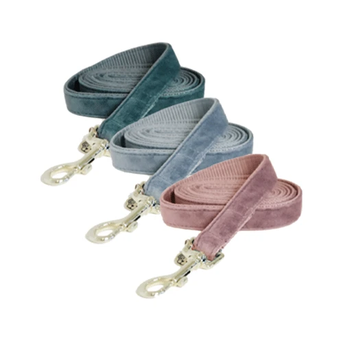 Kentucky Dogwear Hundeleine Velvet 1 Kentucky Dogwear Hundeleine Velvet
