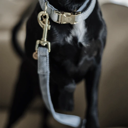 Kentucky Dogwear Hundeleine Wool 6 Kentucky Dogwear Hundeleine Wool - Image 6