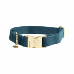Kentucky Dogwear Velvet Hundehalsband 21 Kentucky Dogwear Velvet Hundehalsband -Heimtierbedarf Angebote kentucky dogwear velvet hondenhalsband 219231 0500 none
