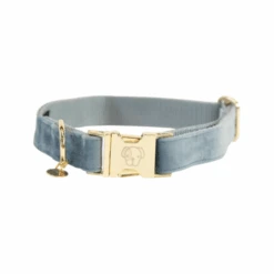 Kentucky Dogwear Velvet Hundehalsband 15 Kentucky Dogwear Velvet Hundehalsband -Heimtierbedarf Angebote kentucky dogwear velvet hondenhalsband 219232 0500 none