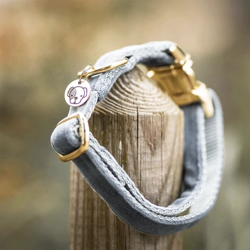 Kentucky Dogwear Velvet Hundehalsband 12 Kentucky Dogwear Velvet Hundehalsband - Image 12