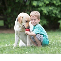 KONG Classic -Heimtierbedarf Angebote kong classic 98642 0500 none