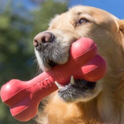 KONG Goodie Bone 6 KONG Goodie Bone -Heimtierbedarf Angebote kong goodie bone 194186 0500 none