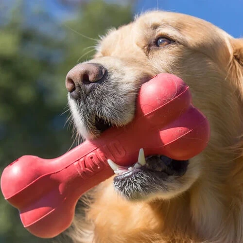 KONG Goodie Bone 3 KONG Goodie Bone - Image 3