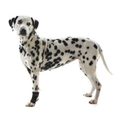 Kruuse Rehab Fesselschutz