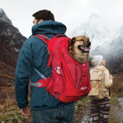 Kurgo G-Train K9 Pack -Heimtierbedarf Angebote kurgo g train k9 pack 177133 0500 none