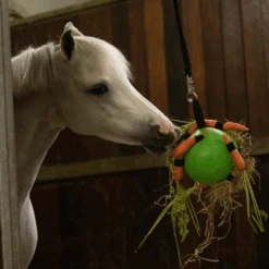 Maximus Fun Play Ball Für Pferde -Heimtierbedarf Angebote maximus fun play ball voor paarden 207830 0500 none