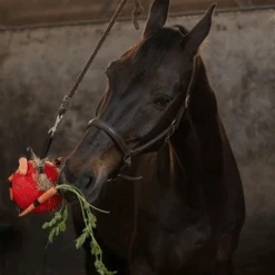 Maximus Fun Play Ball Für Pferde -Heimtierbedarf Angebote maximus fun play ball voor paarden 207833 0500 none