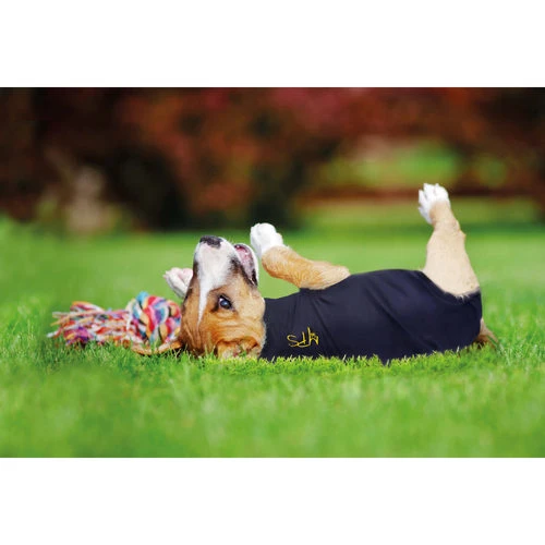 Medical Pet Shirt Hund 6 Medical Pet Shirt Hund - Image 6