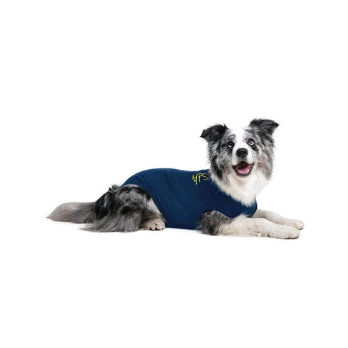 Medical Pet Shirt Hund 3 Medical Pet Shirt Hund - Image 3