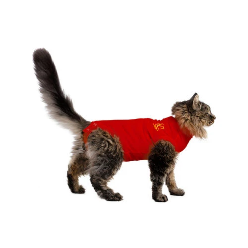 Medical Pet Shirt Katze 2 Medical Pet Shirt Katze - Image 2