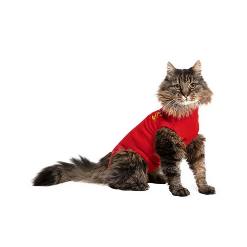 Medical Pet Shirt Katze 1 Medical Pet Shirt Katze