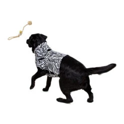 Medical Pet Top Shirt Zebra -Heimtierbedarf Angebote medical pet top shirt zebraprint 150701 0500 none