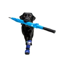 Medical Pet Shirt Boot -Heimtierbedarf Angebote medical pets boot 167482 0500 none