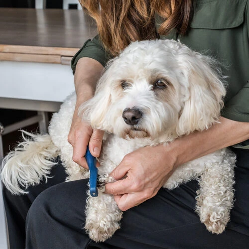 Mikki Doodle De-Matter 4 Mikki Doodle De-Matter - Image 4