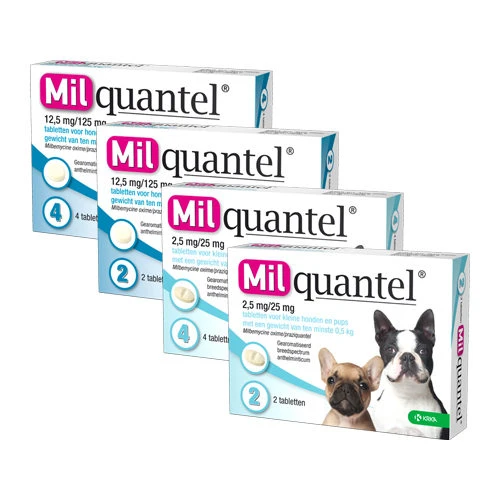 Milquantel Hund 1 Milquantel Hund