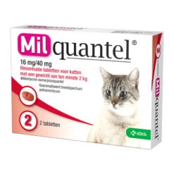 Milquantel Katze -Heimtierbedarf Angebote milquantel kat 112607 0500 none