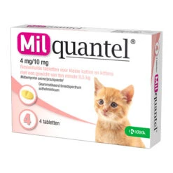 Milquantel Katze -Heimtierbedarf Angebote milquantel kat 112619 0500 none
