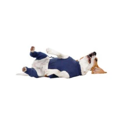 MPS-HLS Hinterbeinschutz -Heimtierbedarf Angebote mps hls achterpootmouwtjes 167440 0500 none