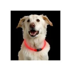 Nite Ize NiteHowl LED Safety Necklace -Heimtierbedarf Angebote nite ize nitehowl led safety necklace 89526 0500 none