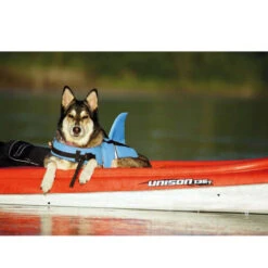 Nobby Hundeschwimmweste Sharki -Heimtierbedarf Angebote nobby sharki hondenzwemvest 221666 0500 none